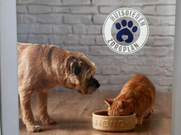 Pet Care Plan