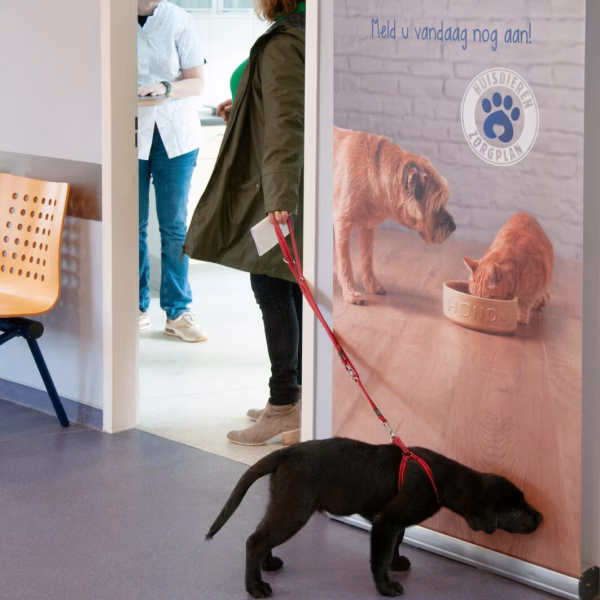 Pup en HZP (huisdierenzorgplan)