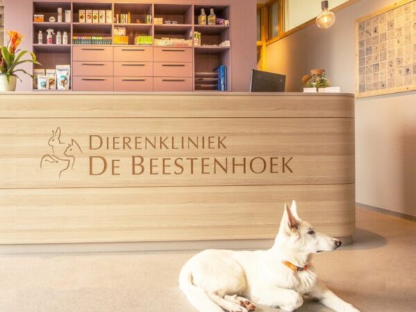 Balie Bleiswijk (Visie)
