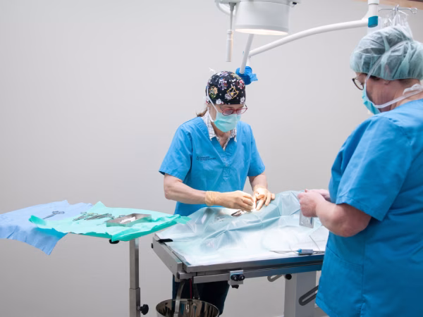 Chirurgie