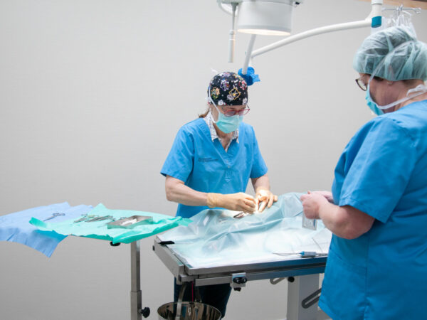 Surgery