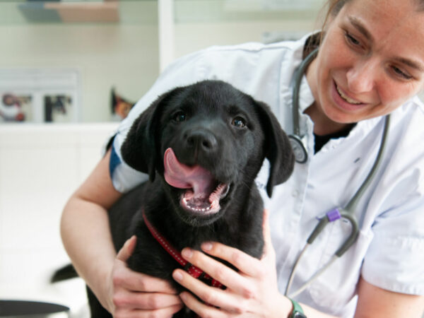 General care