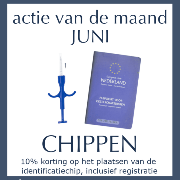 Maandactie Juni