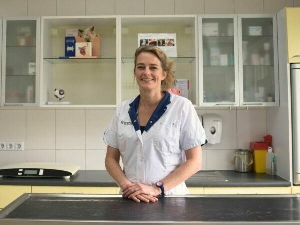 Liesbeth