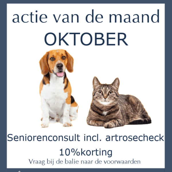 Maandactie Oktober