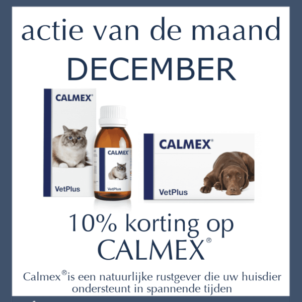 Maandactie December