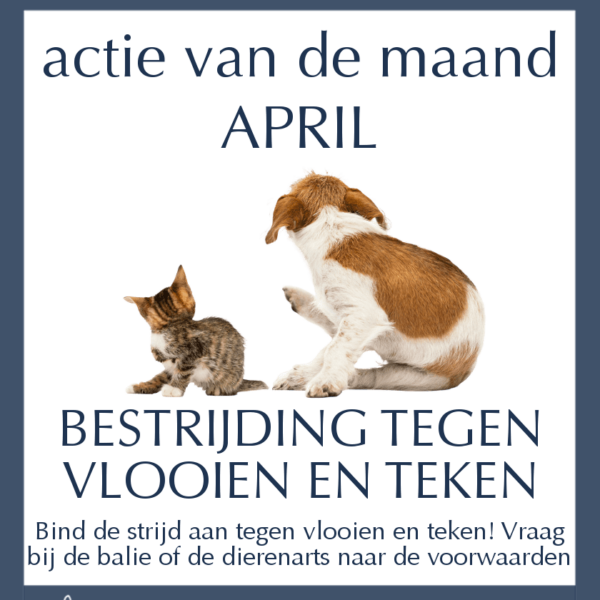 Maandactie April