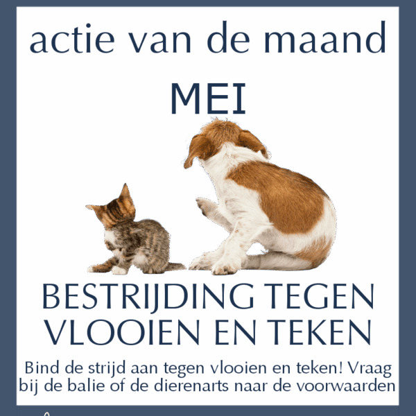 Maandactie Mei