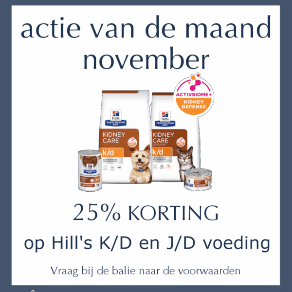 Maandactie Oktober