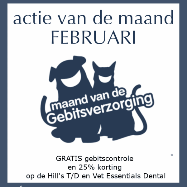 Maandactie Februari