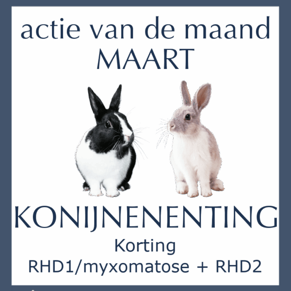 Maandactie Maart