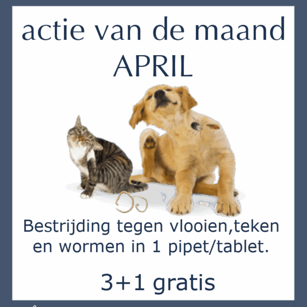 Maandactie April